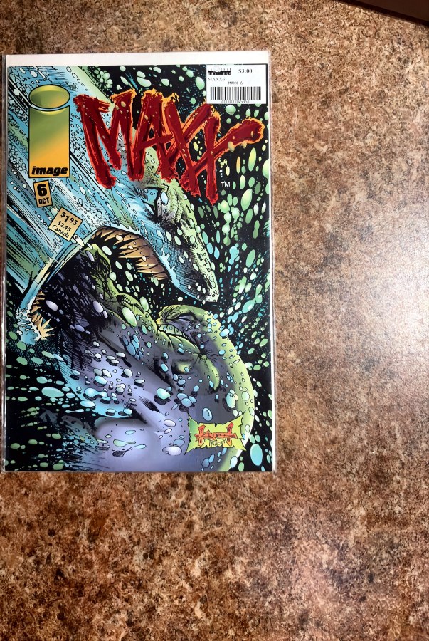 The Maxx #6 (1993) Image Comics First Printing cover