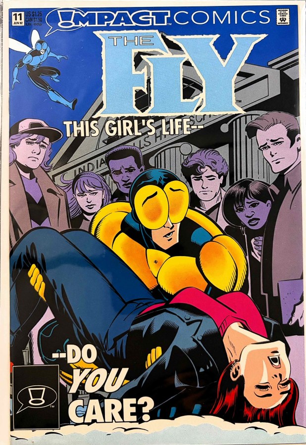The Fly #11 (1992) Impact Comics cover