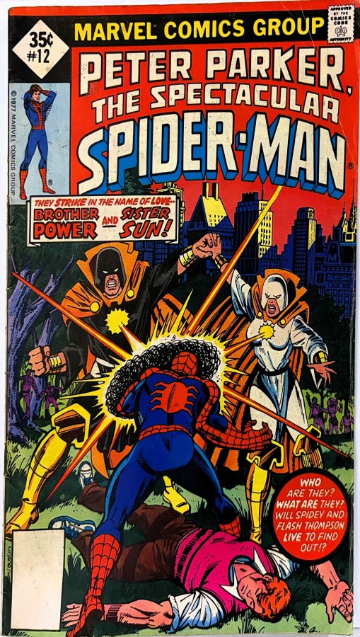 Peter Parker: The Spectacular Spider-Man #12